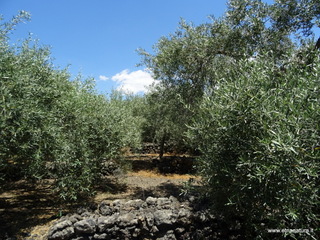 ndolito-21-06-2017 11-43-49